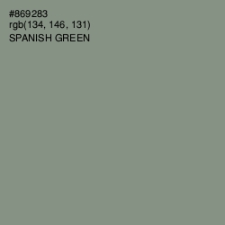 #869283 - Spanish Green Color Image